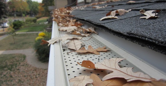 Leaf Filters Brevard County